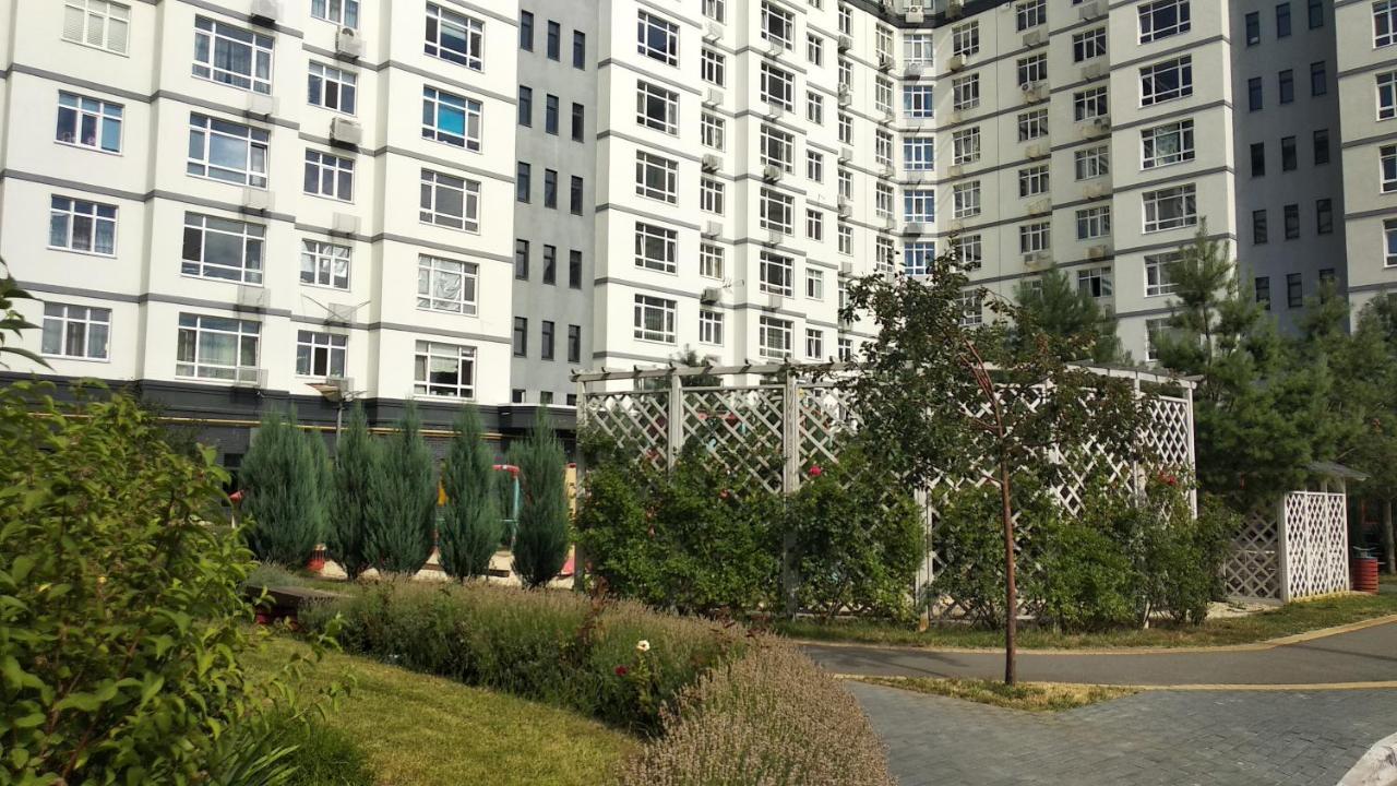 Fly Up Home Apartment Boryspilʼ Esterno foto